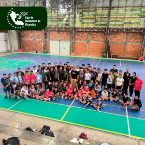Liga de bádminton de Risaralda, torneo departamental 